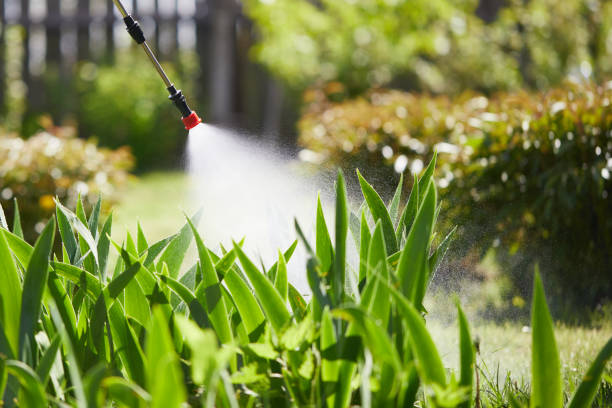 Tamper-Resistant Bait Stations for Rodents in Hunters Creek