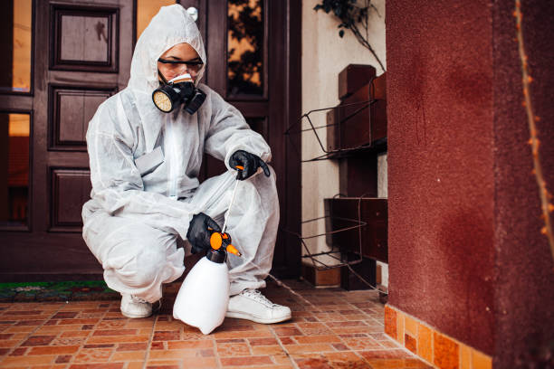 Attic and Crawl Space Rodent Treatment in Hunters Creek
