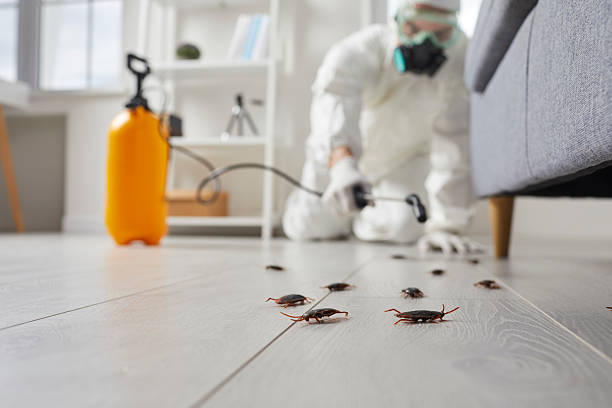 Commercial Rodent Management in Hunters Creek